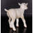 Caleena Baby Goat Life Size Statue