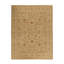 Wool Oriental Area Rug in Light Brown