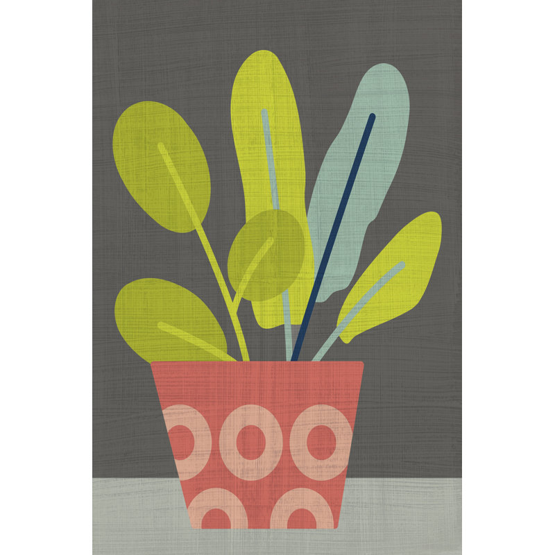 Clay Pot III by Chariklia Zarris - Wrapped Canvas Art Prints, 76cm H x 51cm W