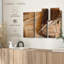 «Quill», sur-98978961