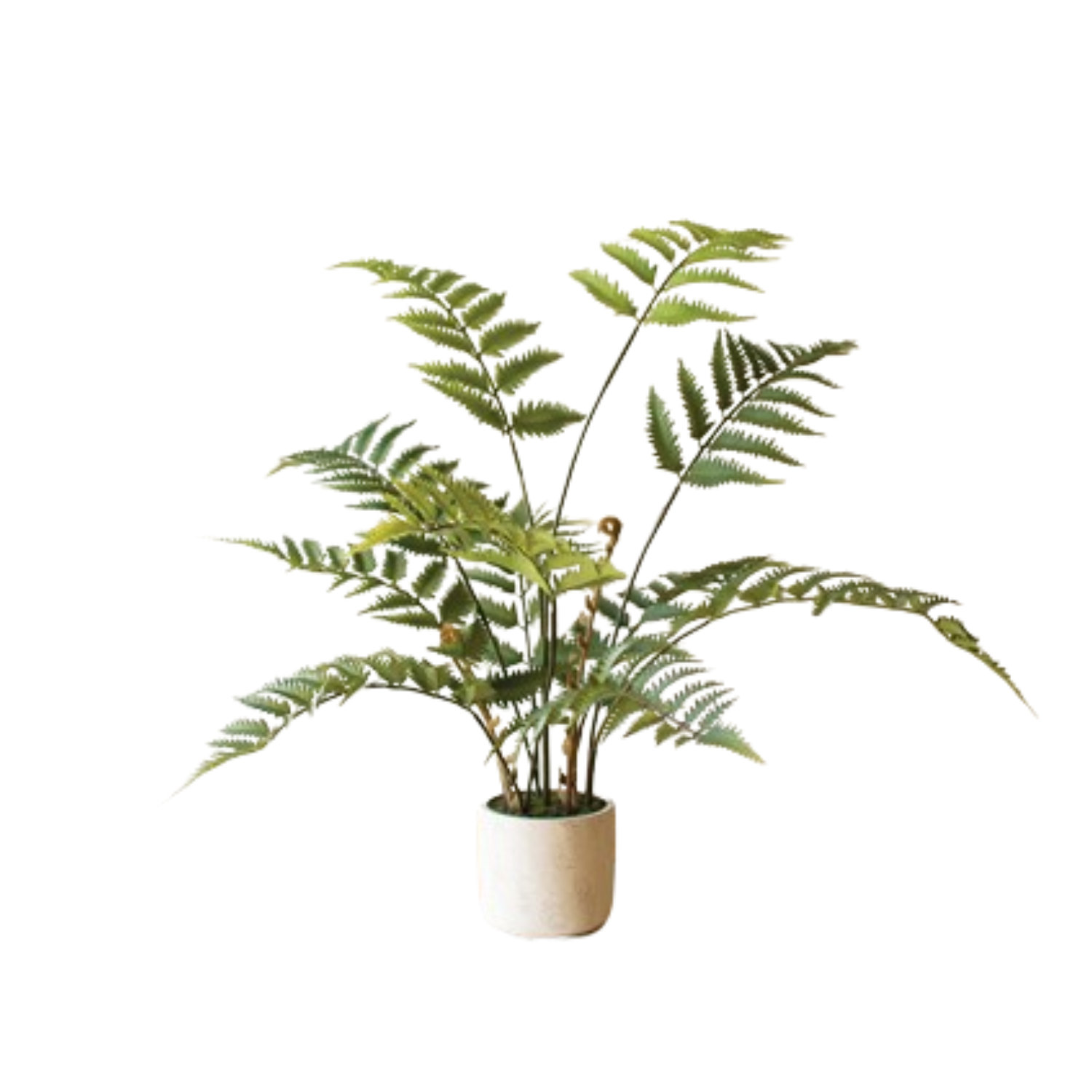28'' Faux Fern Plant in Cement Pot