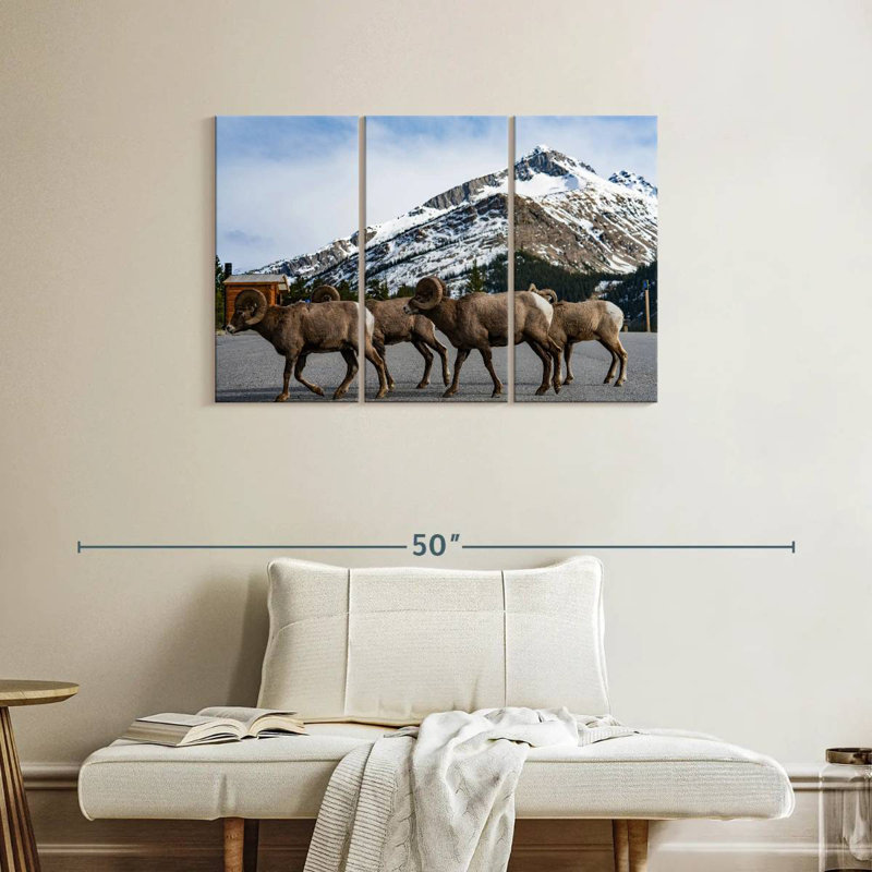 Bighorn Sheep Crossing