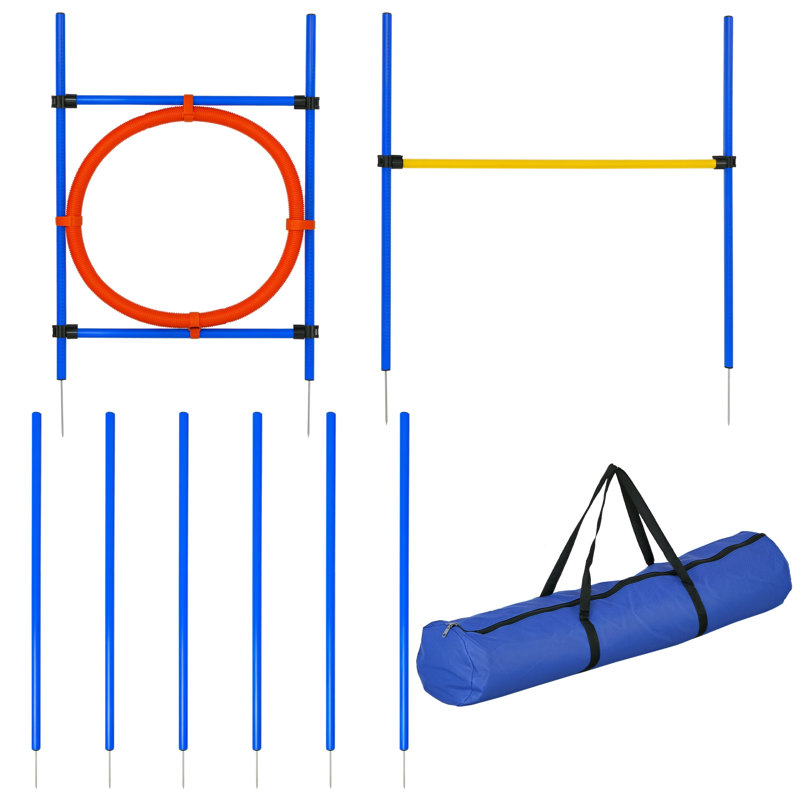 Trousse d'entraînement d'agilité