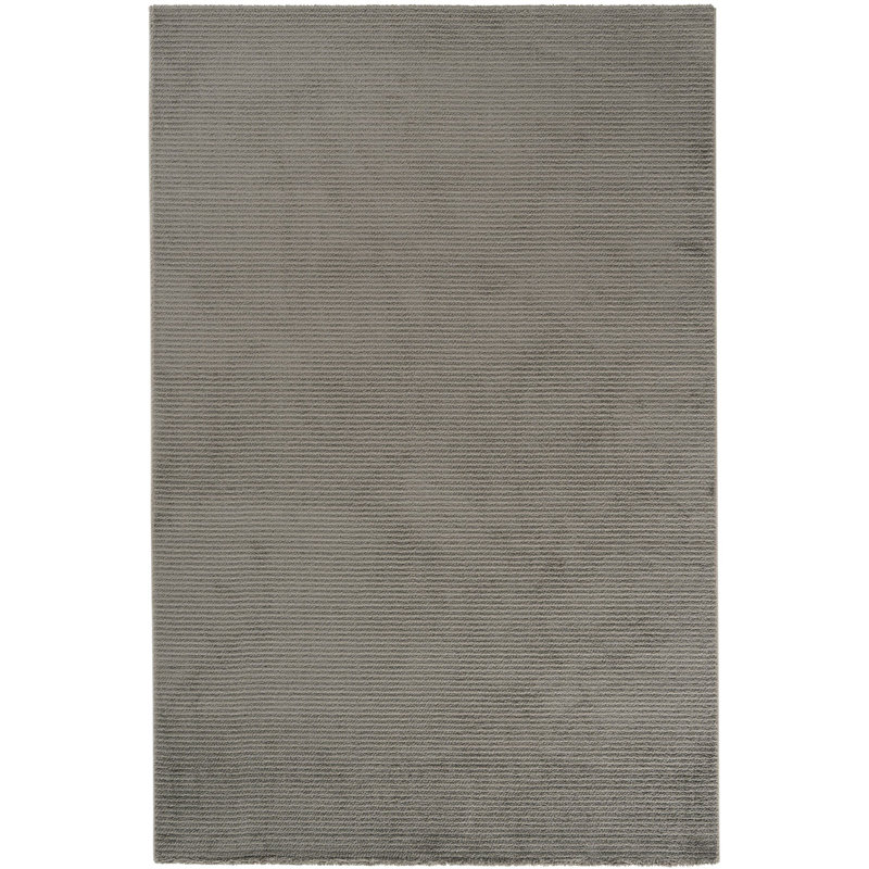 Reileigh Solid Colour Machine Made Indoor / Outdoor Area Rug, Rectangle 2'7" x 4'11"