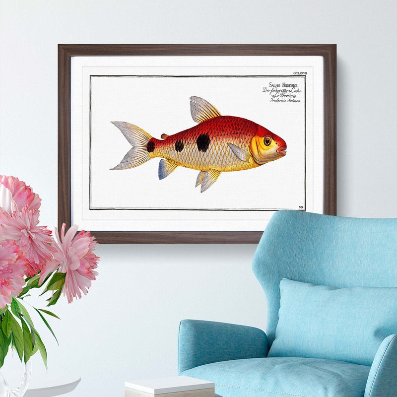Frederics Salmon Fish by M.E. Bloch - Framed Print, Walnut Framed, 36cm H x 48cm W x 2cm D