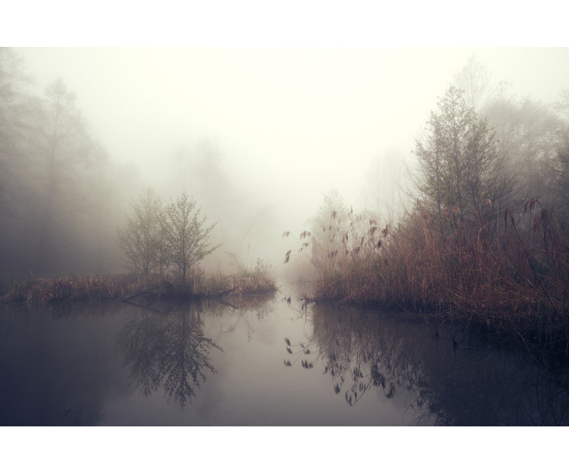 Wrapped Canvas Print, 50.8cm H x 76.2cm W