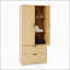 Armoire 2 portes en bois avec tringle, tiroirs, lumière à induction et miroir pour le rangement de la chambre à coucher