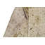 Oriental Area Rug