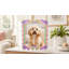 Hex Dylan Scalloped Acrylic Picture Frame, 7" x 9"-812999871
