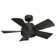 Elf 38'' Ceiling Fan with LED Lights