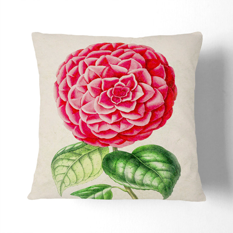 Bright Pink Camellia Flower Illustration Floral Square Throw Cushion, 55cm H x 55cm W x 20cm D, Stone