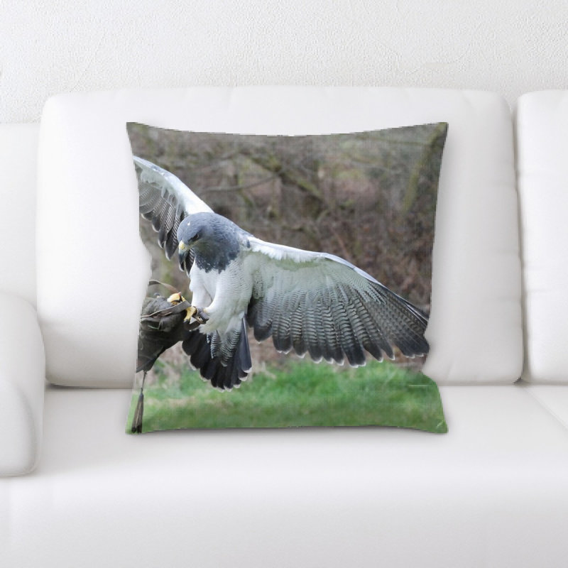 Coussin vélociraptor