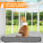 Semi-Circular Balcony Cat Expandable Window Enclosure For Indoor Cats