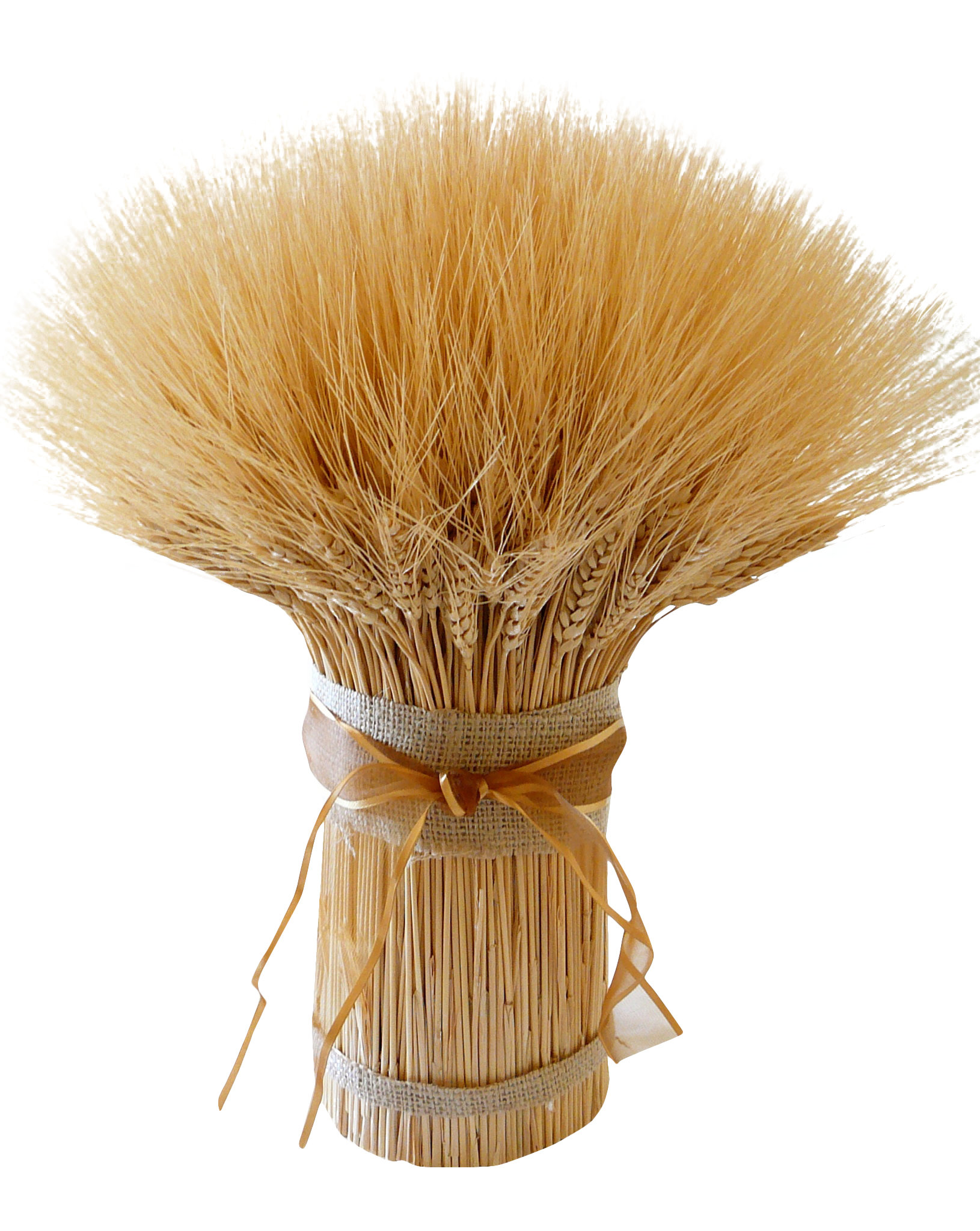 Birch Lane Waterbury Dried Wheat Bouquet Centerpiece & Reviews | Wayfair