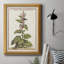 «Munting Botanicals IV», toile encadrée de qualité supérieure - prête à être accrochée-873165556