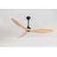 Hexanova Smart Ceiling Fan-1937108834-1937108837