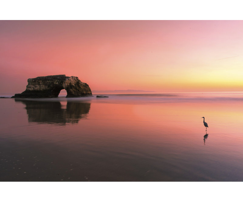 Wrapped Canvas Print, 60.96 cm H x 91.44 cm W