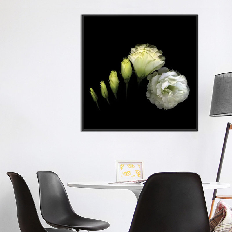 Circumvolution, impression sur toile tendue, H 37 po x l 37 po x P 1,5 po, Toile avec cadre noir, Pas de tapis