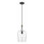 Luminaire suspendu en pot 1 lumière Vandeveer-493648731
