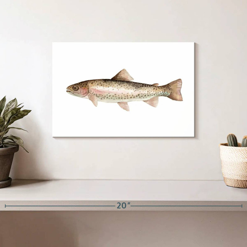 Rainbow Trout, 8" H x 12" W