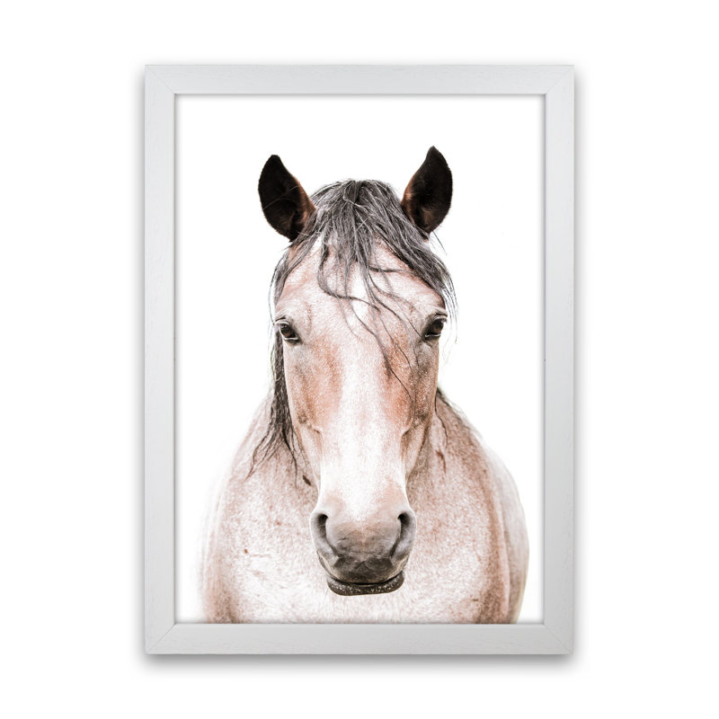 Horse by Victoria Frost - Print, 63cm H x 46cm W x 3cm D, White Framed