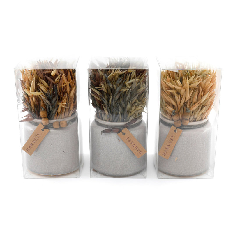 10.5 cm H Faux Pampas Grass Plant in Ceramic Pot