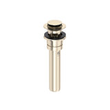 Push Drain with Overflow