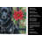 Schipperke Christmas PoinsettIas Kitchen Towel-2080583764