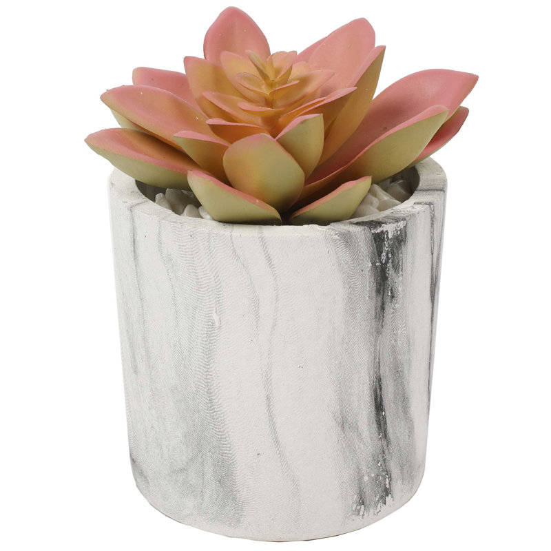 4.75'' Faux Succulent in Fake Marble Pot