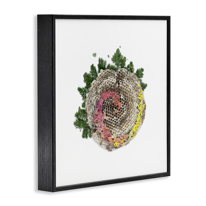 Giclée encadrée Honeycomb with Botanicals, design par Beth Adoette, Giclée noire de minuit encadrée, H 24 po x l 24 po