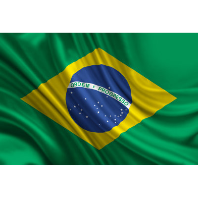 Brazilian Flag - Wrapped Canvas Print