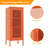 Mully Metal Accent Cabinet-976947456