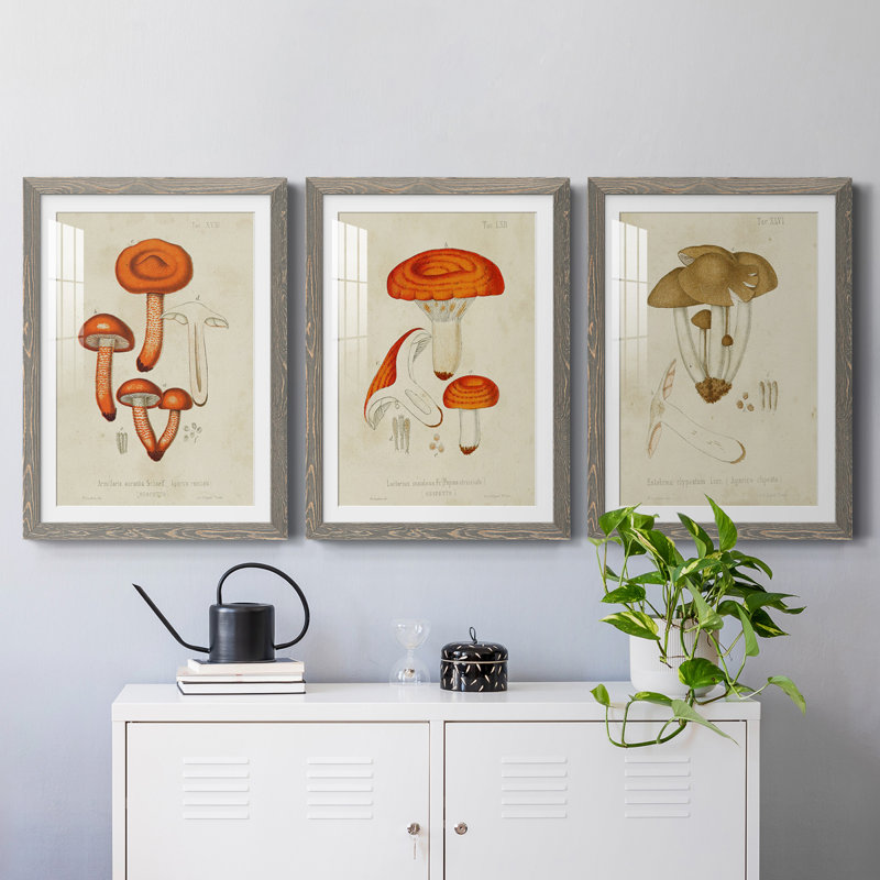 Champignon Variétés IV encadré mat - prêt à accrocher, H 20 po x l 51 po x P 1,5 po, Gris