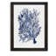 «Seaweed Under Water II», reproduction sur verre encadrée-678182312-678182315