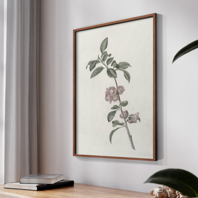 Imprimé floral rétro CLXIV - impression encadrée