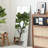 Talma Wood Flat Mirror-1801682424-1801682425