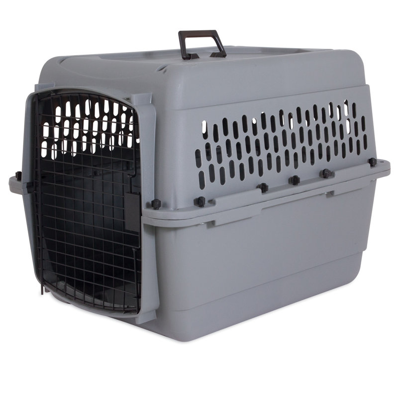 Transporteur traditionnel pour animaux Jaquez, H 20,5 po x l 20 po x P 28 po