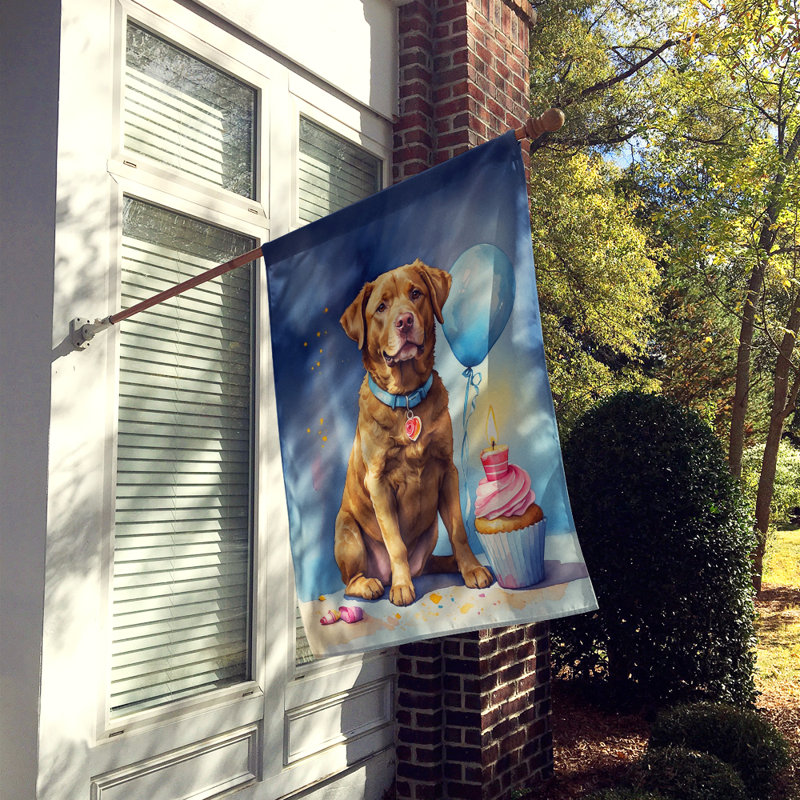 Drapeau «Happy Birthday House», Retriever de la Baie de Chesapeake