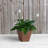 Alaunah Pot Planter-840690750-840690747
