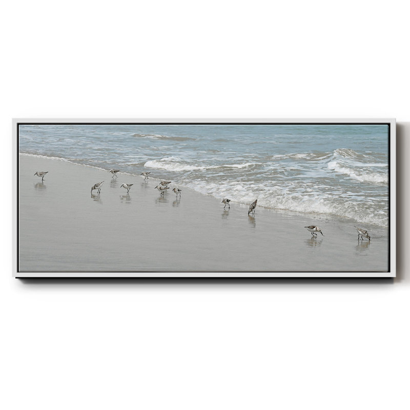 Shorebirds- Framed Canvas