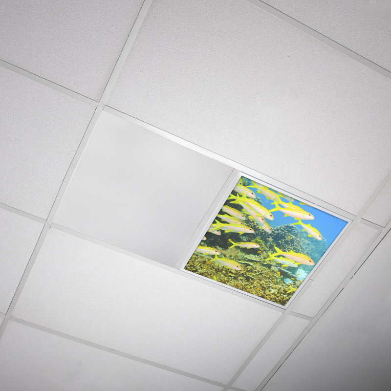Ocean Square Fixture Component Ceiling Light