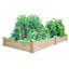 Delosreyes Wood Planter Box