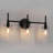 Froney 3-Light Black Dimmable Vanity Light