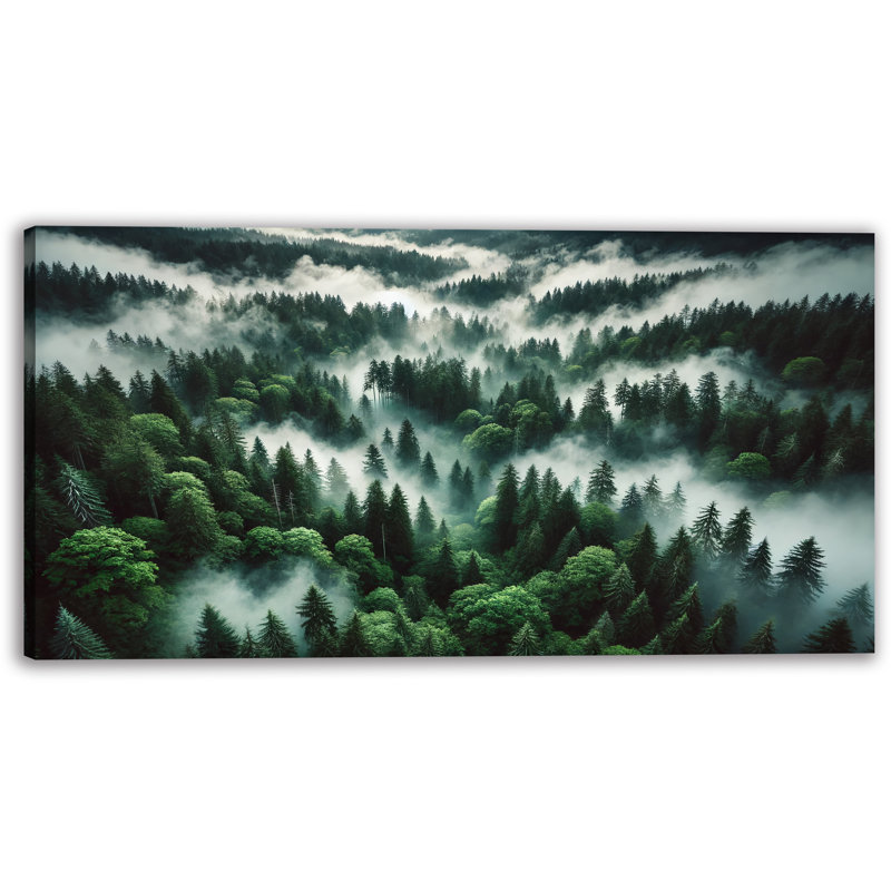 Art mural sur toile Misty Forest, H 20 po x l 40 po