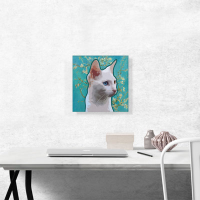 " Burmilla Cat Breed Teal "