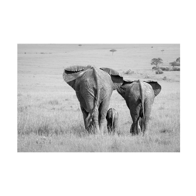 Wrapped Canvas Wall Art - Ali Khataw 'Three Butts!' Wall Art for Living Room, Bedroom, or Office Décor - 12x19, 12" H x 19" W