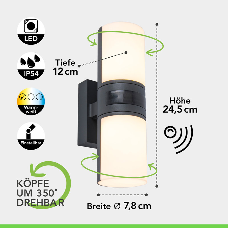 Vanagan Anthracite Integrated LED Outdoor Armed Sconce