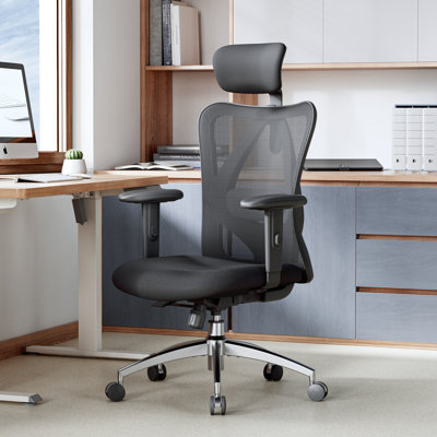 Sihoo Task Chair with Headrest