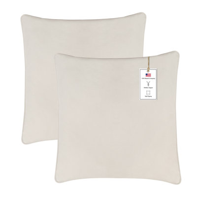 A1HC Set of 2 Luxurious Velvet Throw Pillow Covers — Soft Decorative Cushions with Hidden Zipper