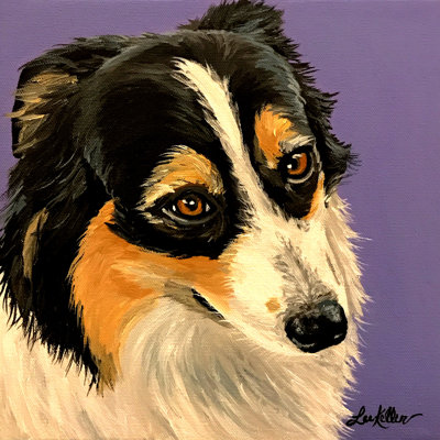 Exotic Sheltie by Lee Keller - Wrapped Canvas Painting